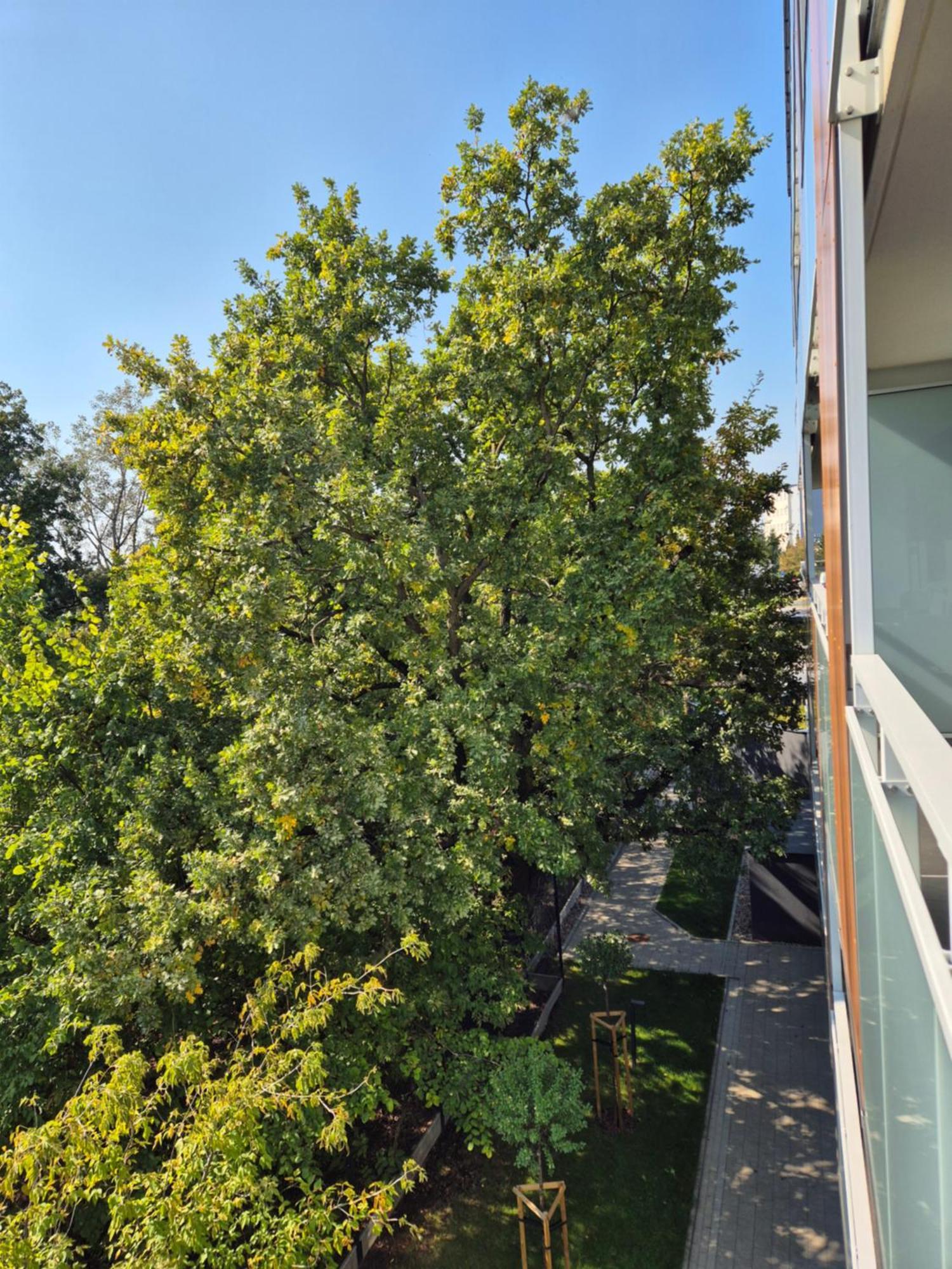 Great Apart Imielin 2 Warsaw Luaran gambar